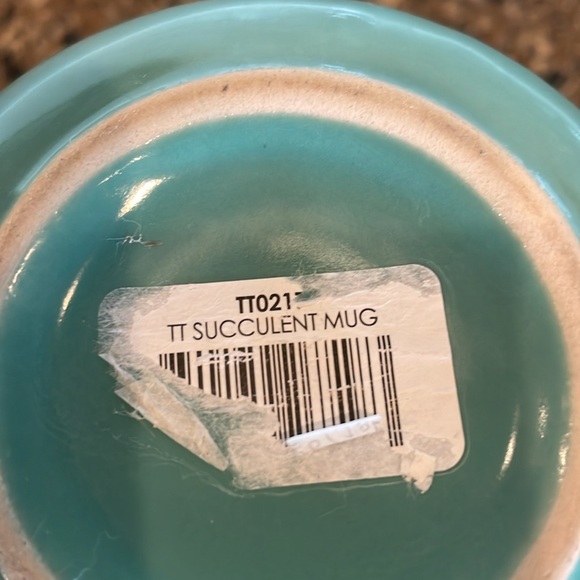 Set of 2 Thyme & And Table Teal & Gold Succulent Stoneware Mugs Coffee Cups - Picture 5 of 8